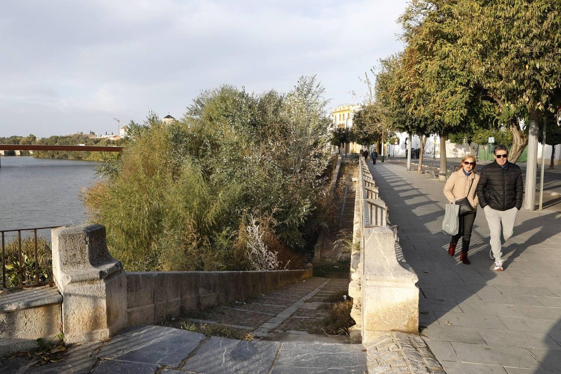 El lamentable estado del río en Córdoba, en imágenes