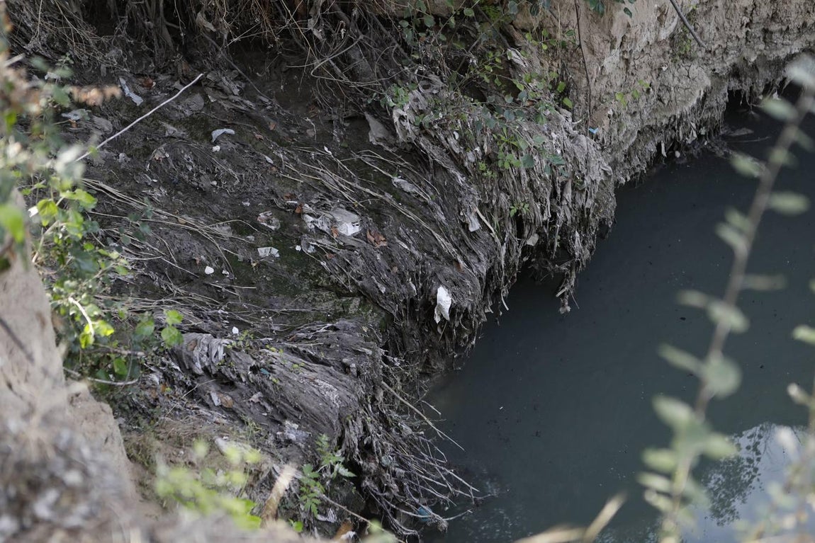 El lamentable estado del río en Córdoba, en imágenes