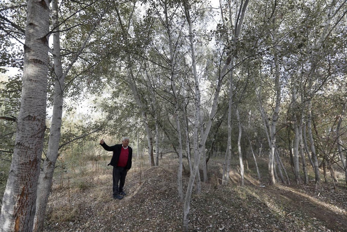 El lamentable estado del río en Córdoba, en imágenes