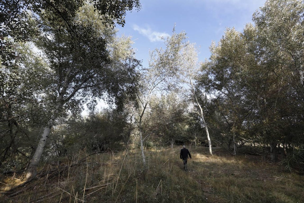 El lamentable estado del río en Córdoba, en imágenes