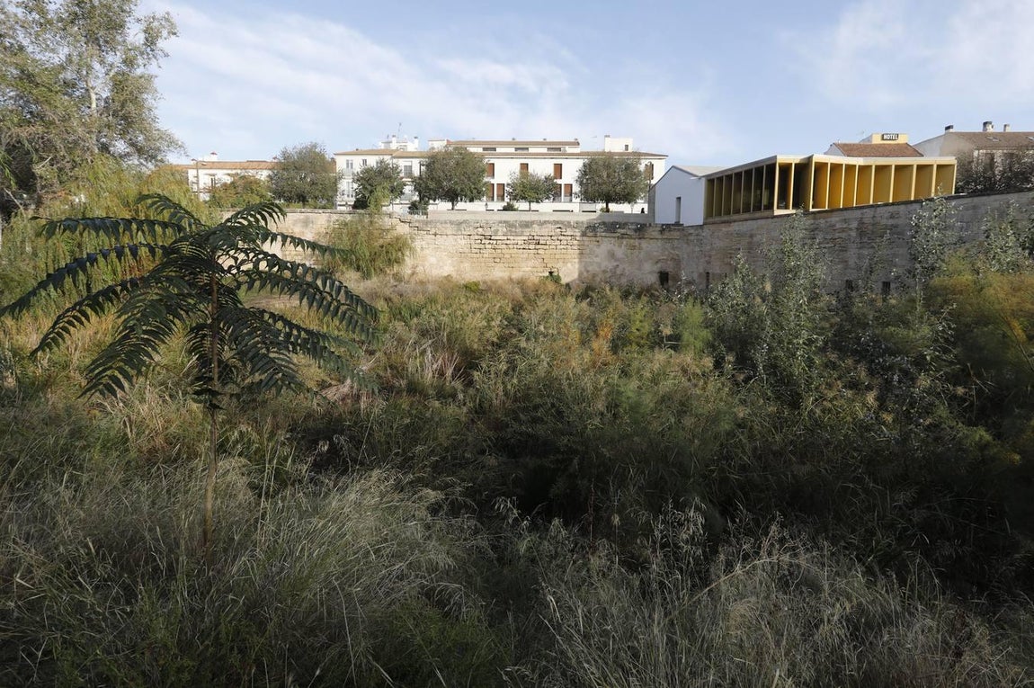 El lamentable estado del río en Córdoba, en imágenes