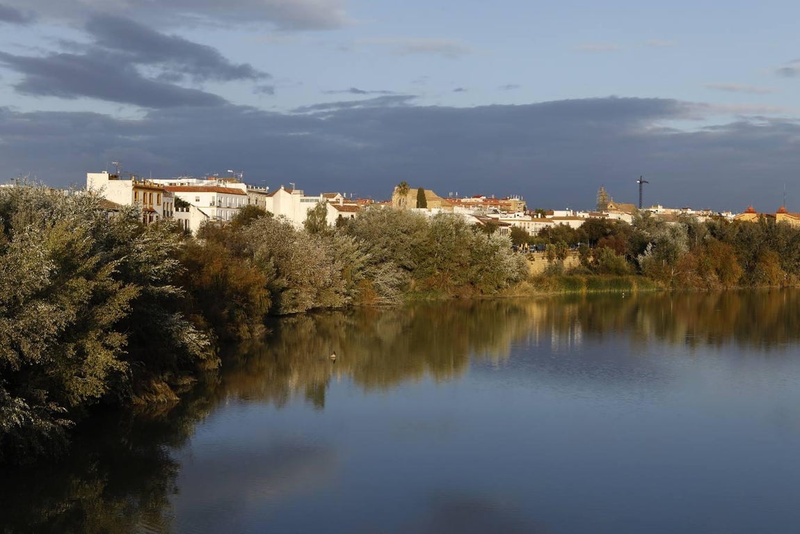El lamentable estado del río en Córdoba, en imágenes