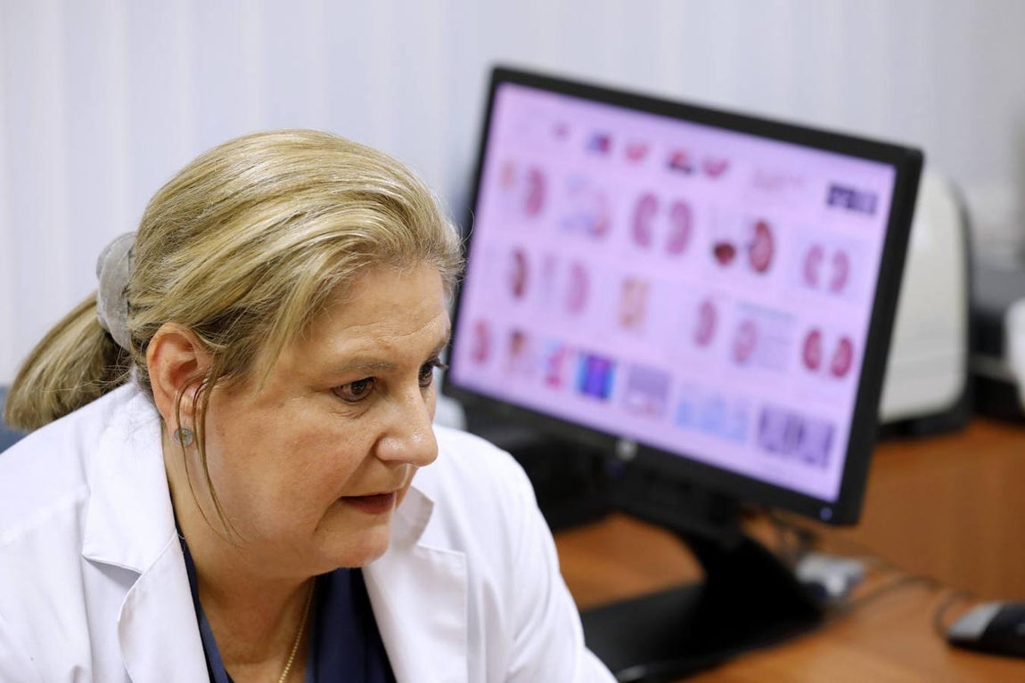 La labor de los expertos del Reina Sofía en cálculo renal en niños, en imágenes