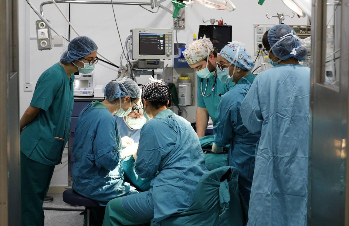 La labor de los expertos del Reina Sofía en cálculo renal en niños, en imágenes