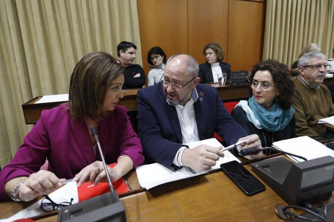 El último Pleno del año en el Ayuntamiento de Córdoba, en imágenes