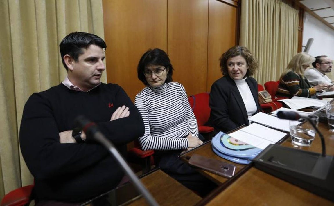 El último Pleno del año en el Ayuntamiento de Córdoba, en imágenes