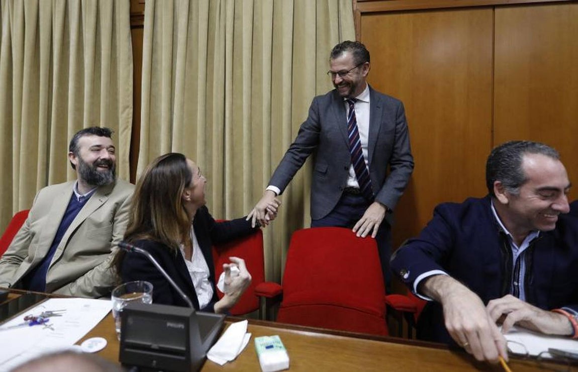El último Pleno del año en el Ayuntamiento de Córdoba, en imágenes