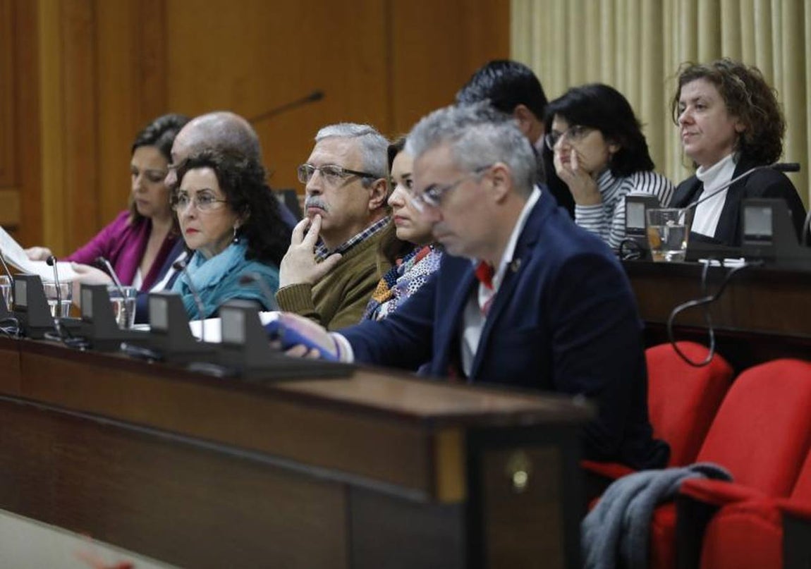 El último Pleno del año en el Ayuntamiento de Córdoba, en imágenes