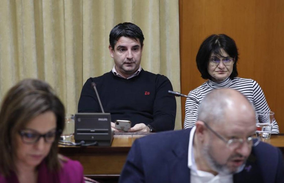 El último Pleno del año en el Ayuntamiento de Córdoba, en imágenes