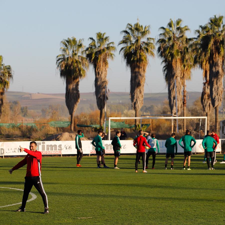 La vuelta al trabajo del Córdoba CF, en imágenes