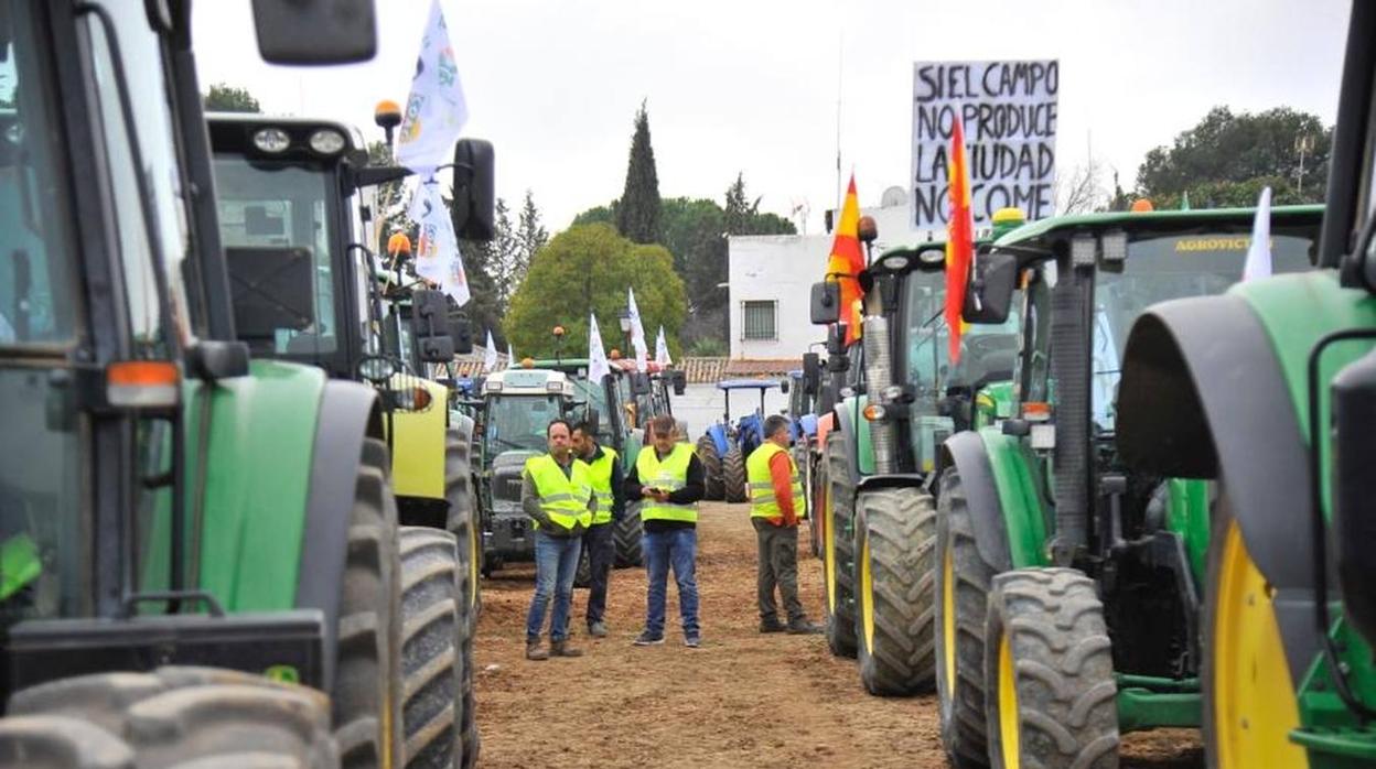 Las reivindicaciones de los agricultores en Málaga, en imágenes