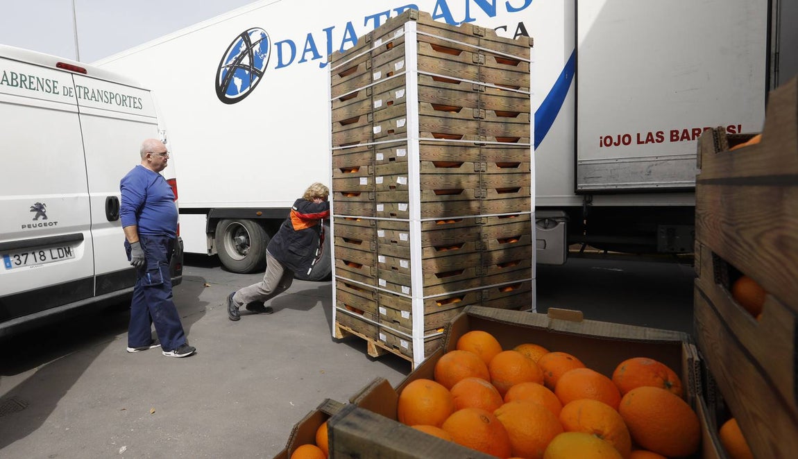 En imágenes, el reparto de comida en Córdoba frente al coronavirus