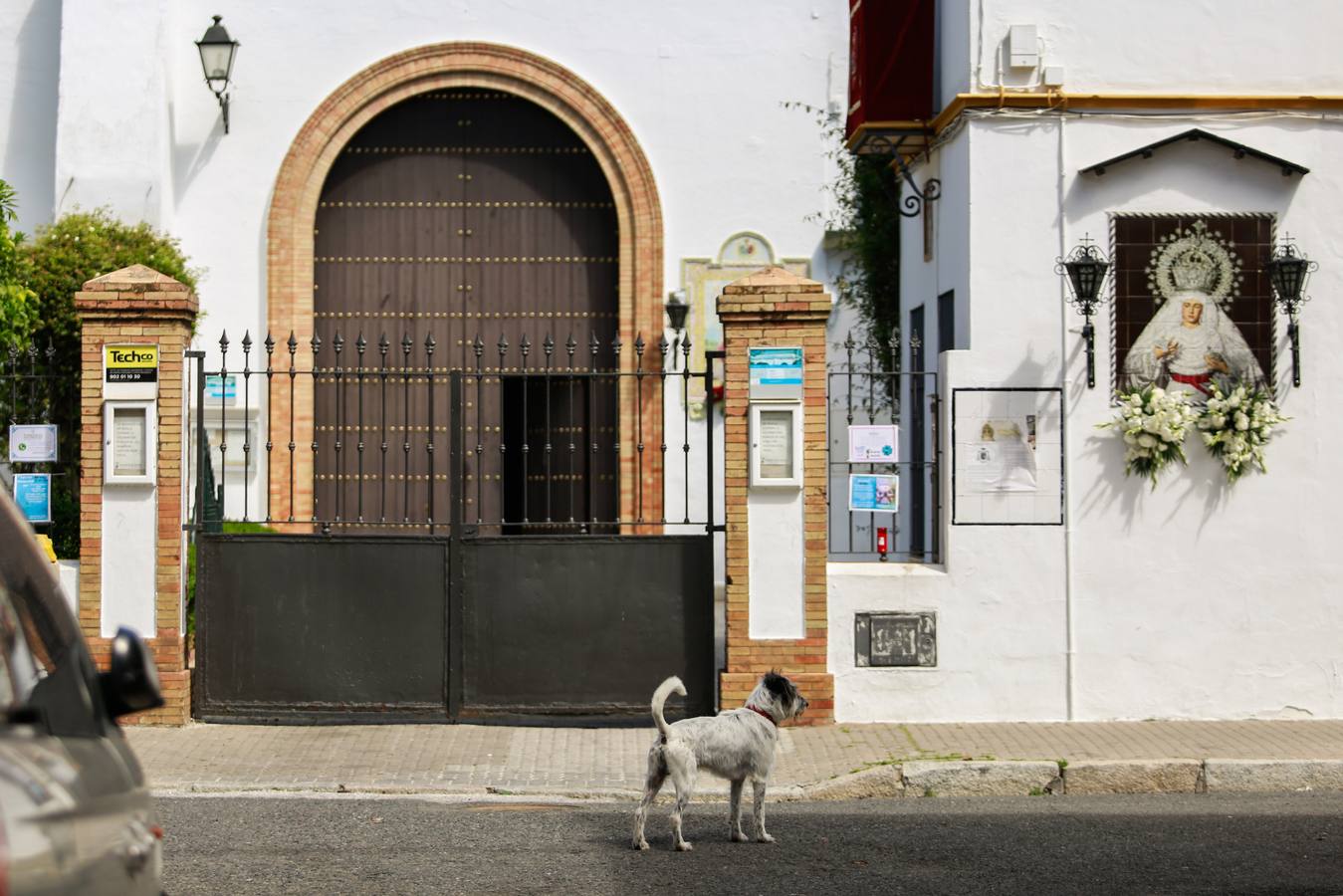 Imágenes de la Semana Santa de Sevilla de 2020: La Paz
