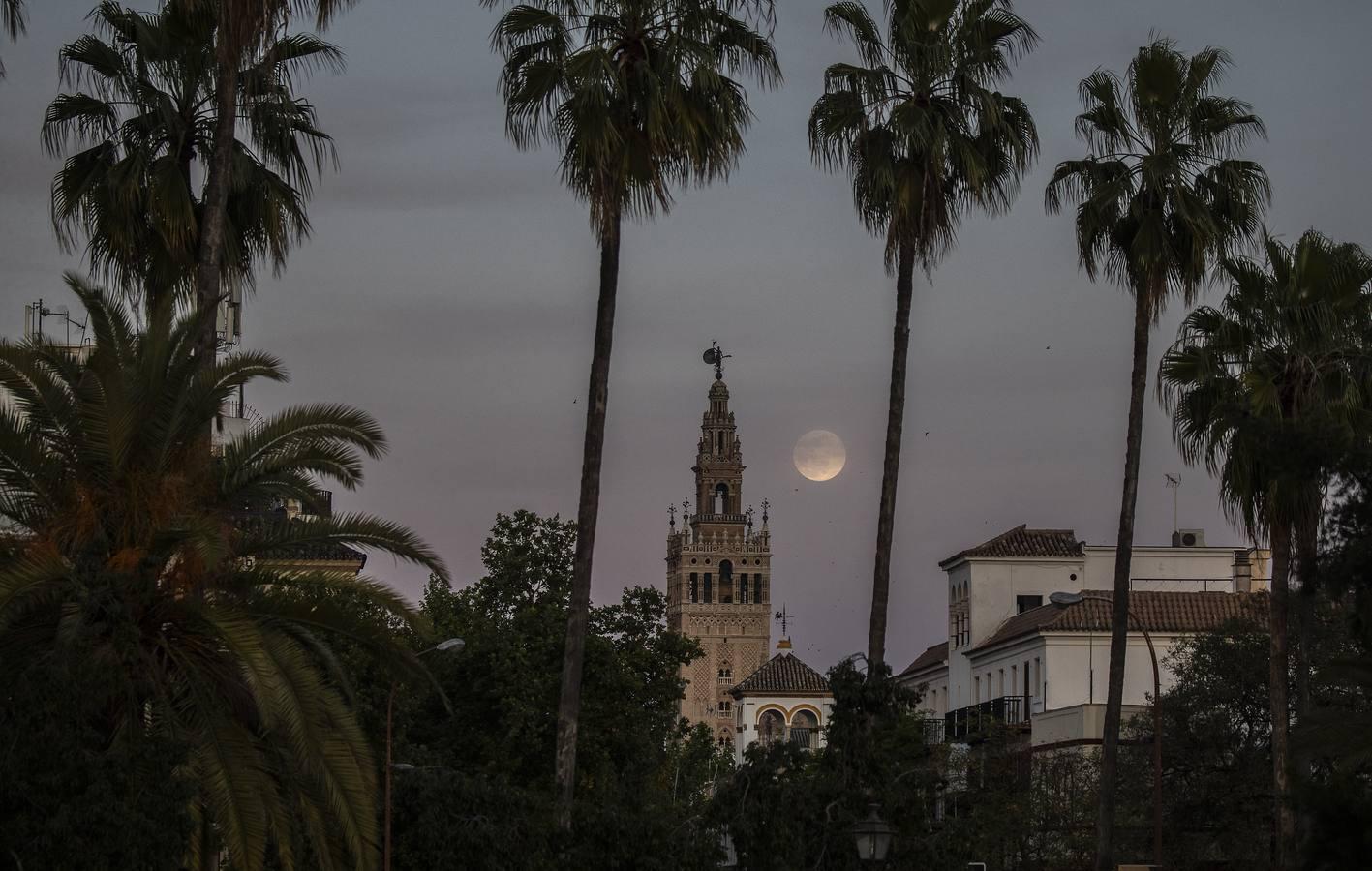 La luna tiñe de rosa las noches de Sevilla