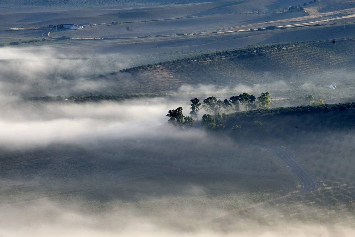 Aniversario del desastre ecológico de Aznalcóllar