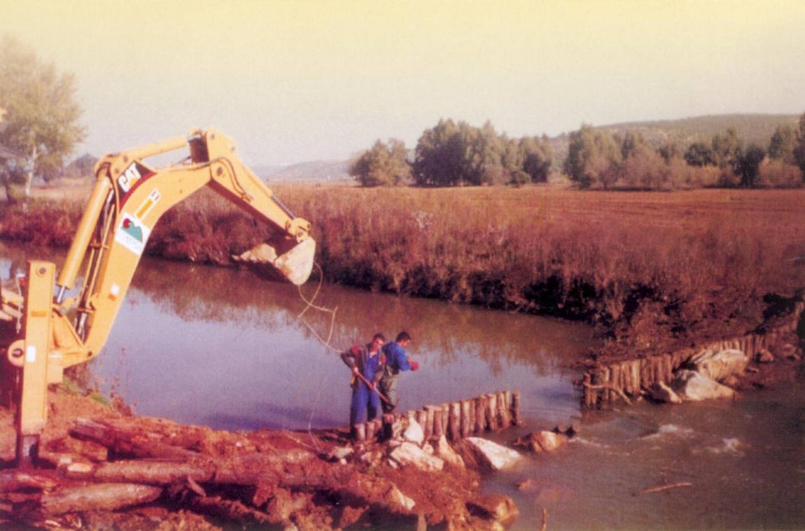 Aniversario del desastre ecológico de Aznalcóllar