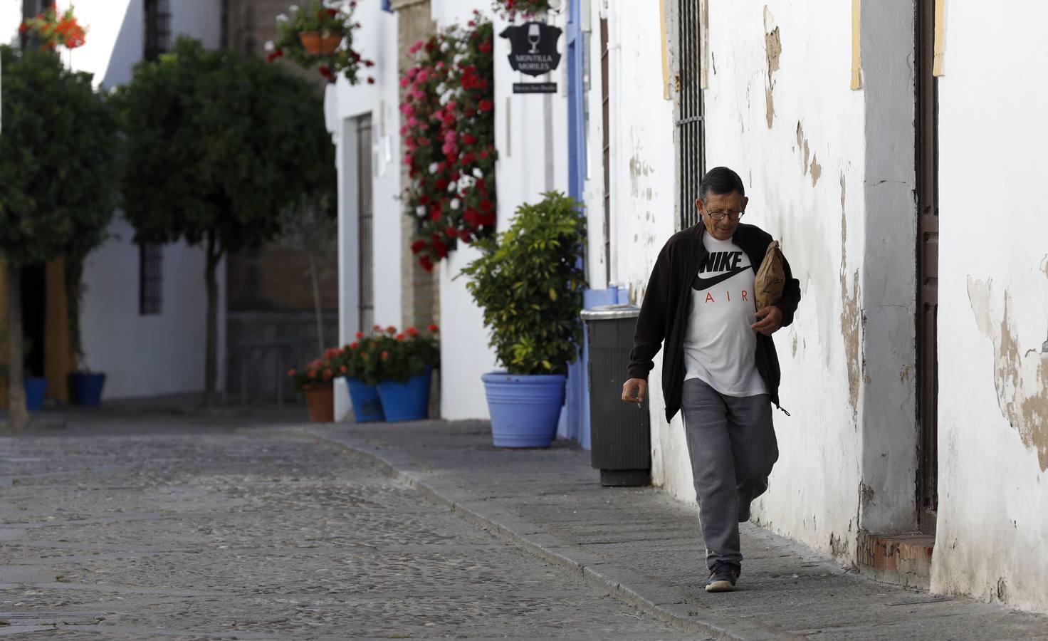 La quietud del Alcázar Viejo de Córdoba, en imágenes