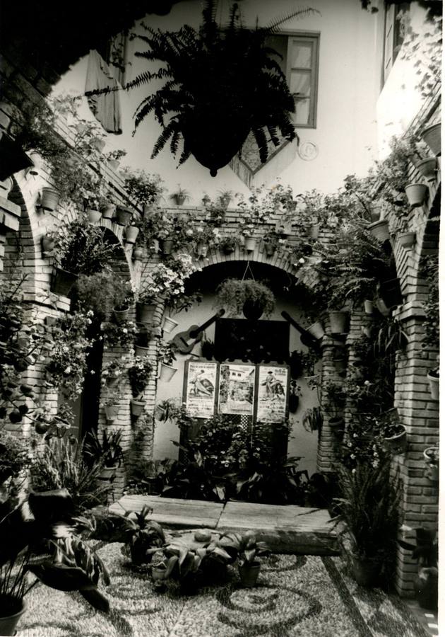 Patios de Córdoba | Una mirada en blanco y negro por una belleza centenaria