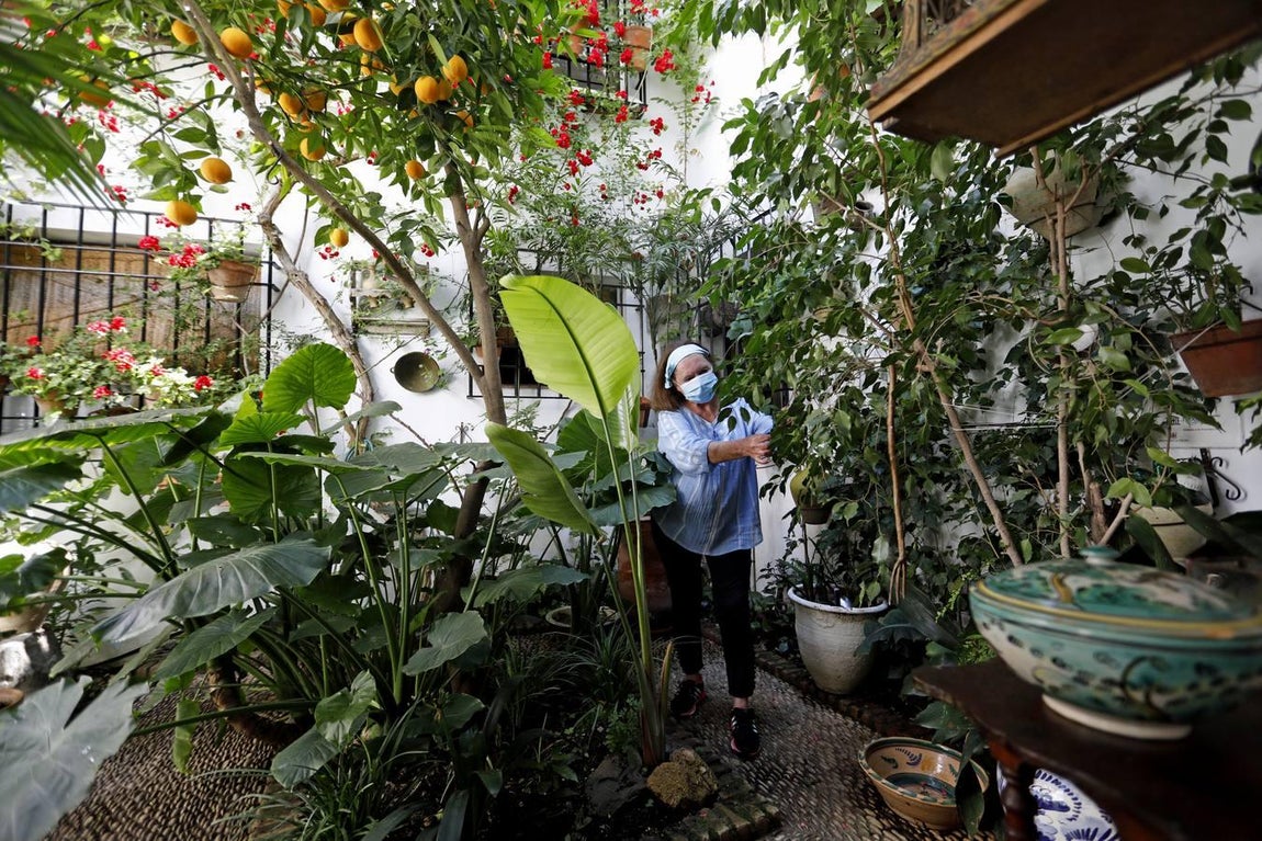 Los patios de Tafures, Ocaña y el Pozanco de Córdoba, en imágenes