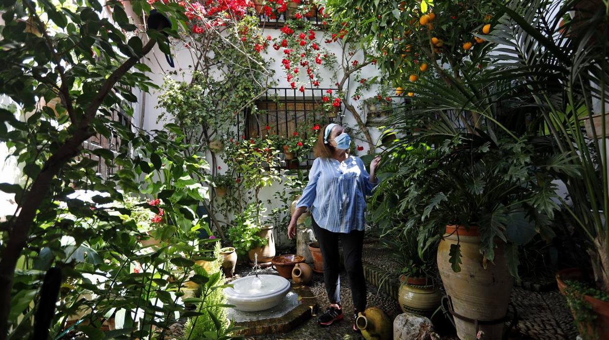 Los patios de Tafures, Ocaña y el Pozanco de Córdoba, en imágenes