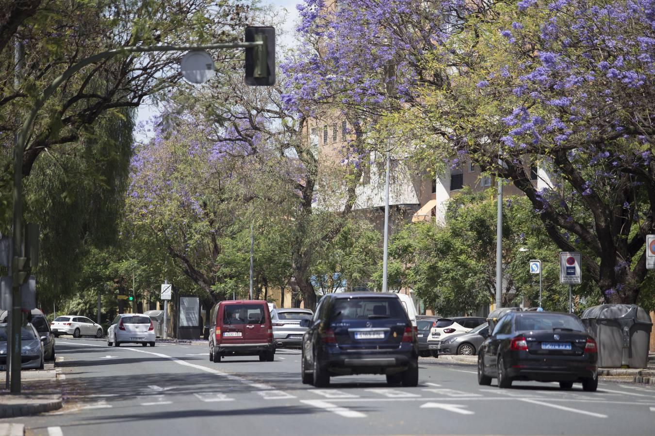 El tráfico ha subido en Sevilla un 43 por ciento esta semana