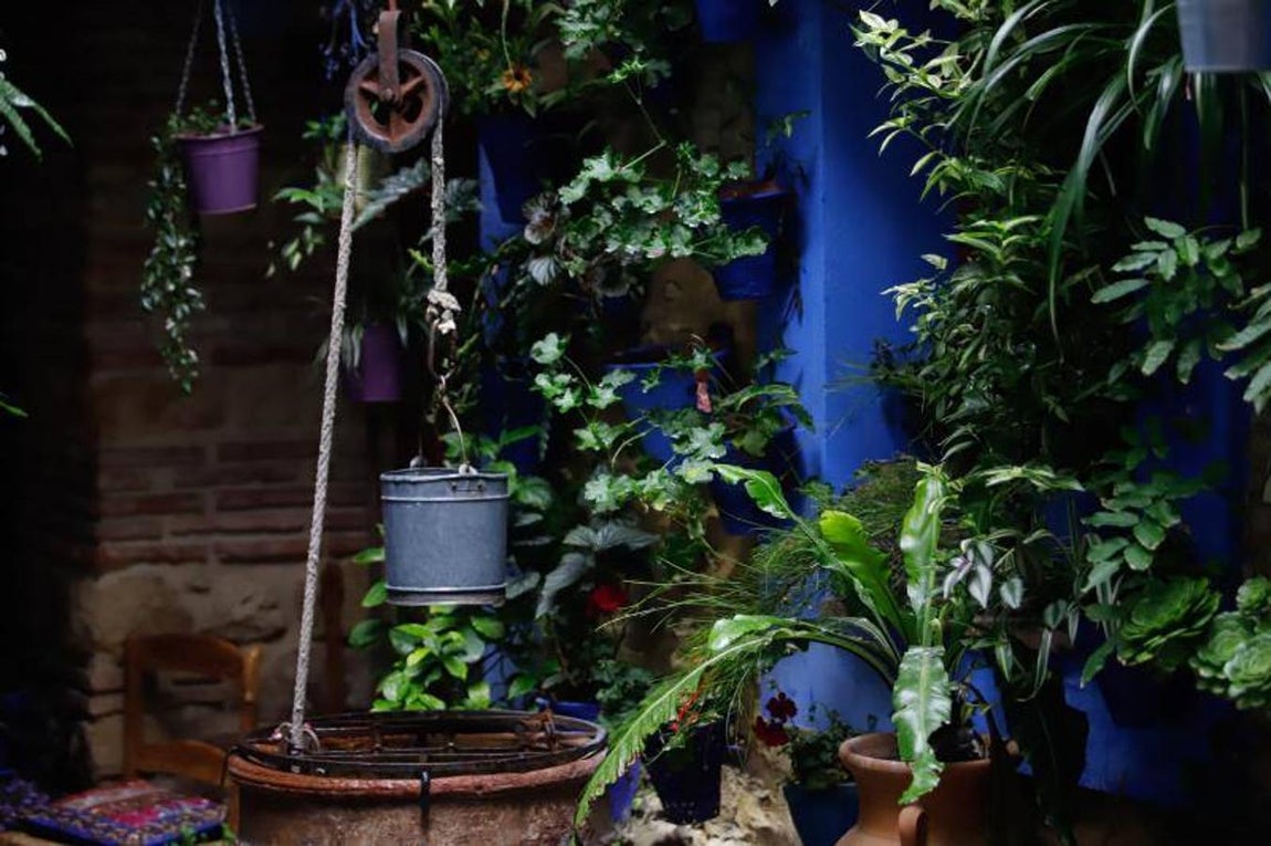 Los patios de Frailes y Alvar Rodríguez de Córdoba, en imágenes