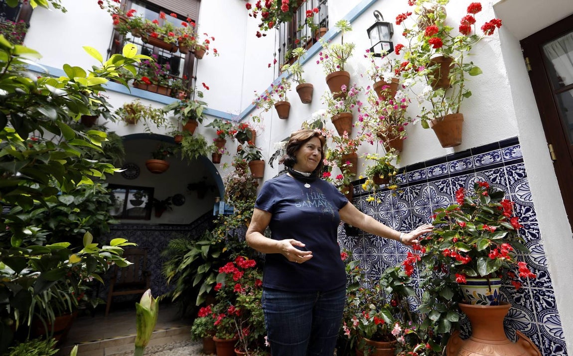 Los patios de Juan Fernández, 6 y Zarco,15 de Córdoba, en imágenes