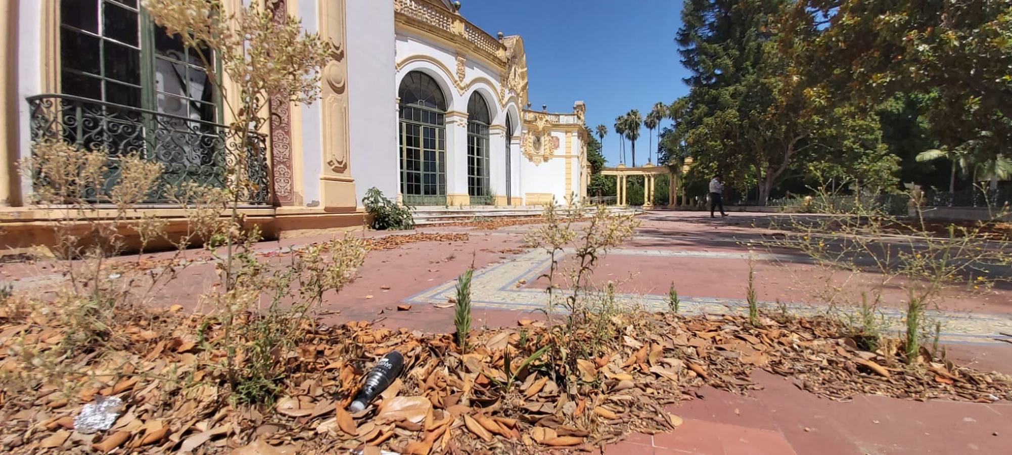 El deterioro del Teatro Lope de Vega y su entorno, en imágenes