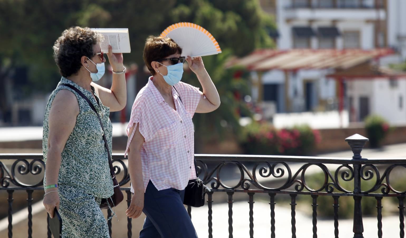 El tiempo en Sevilla: el calor dará una tregua y se mantendrá en la campiña durante este lunes