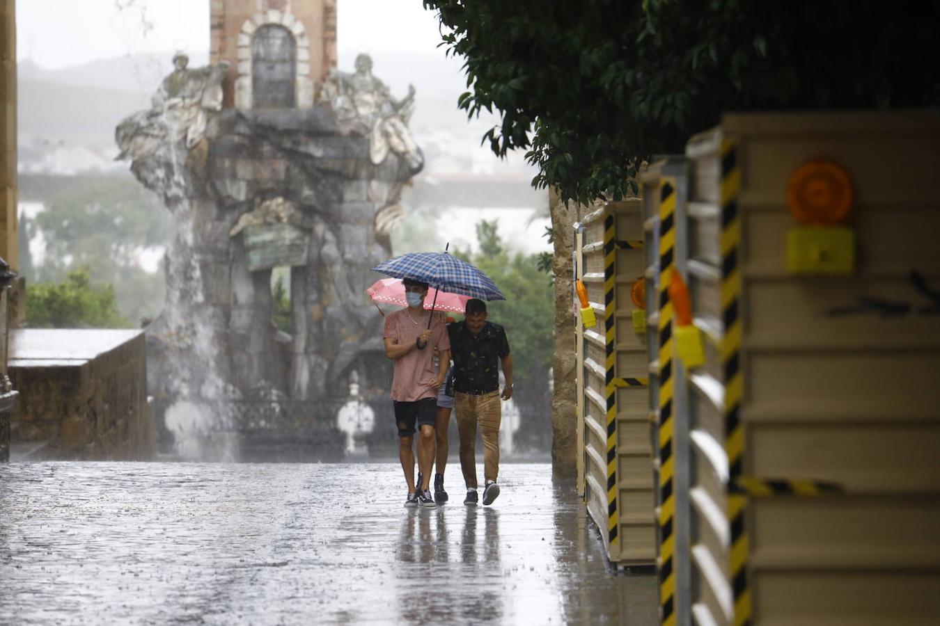 Secuelas de la tormenta en Córdoba: árboles caídos, cocheras inundadas, rescates y contenedores flotando