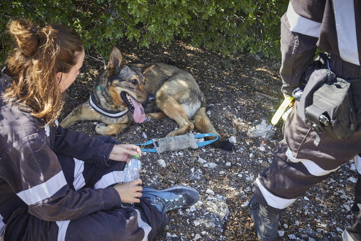 La búsqueda de la joven cordobesa Maite Cantarero, en imágenes