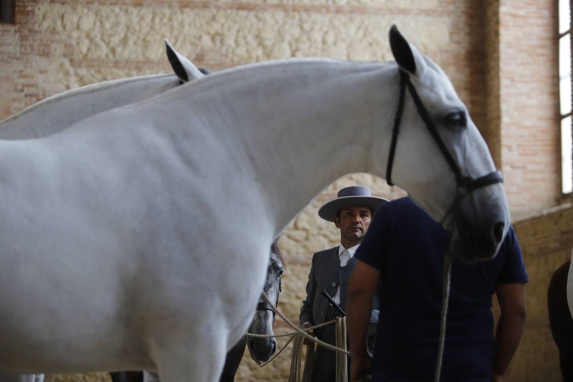 La entrega de premios del «Ciudad de Córdoba», en imágenes
