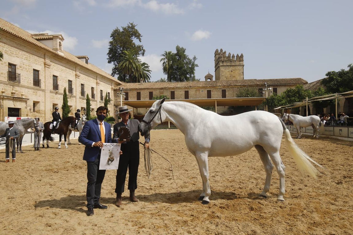 La entrega de premios del «Ciudad de Córdoba», en imágenes