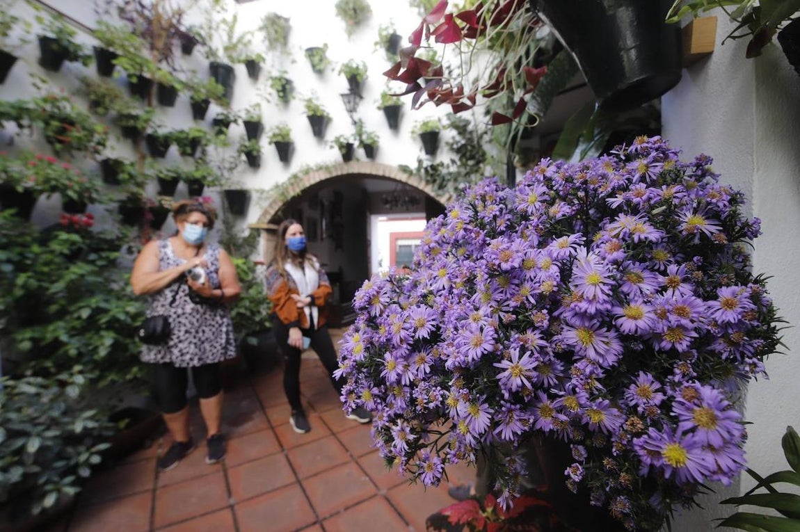 Patios de Córdoba 2020 | La ruta del barrio de San Basilio, en imágenes