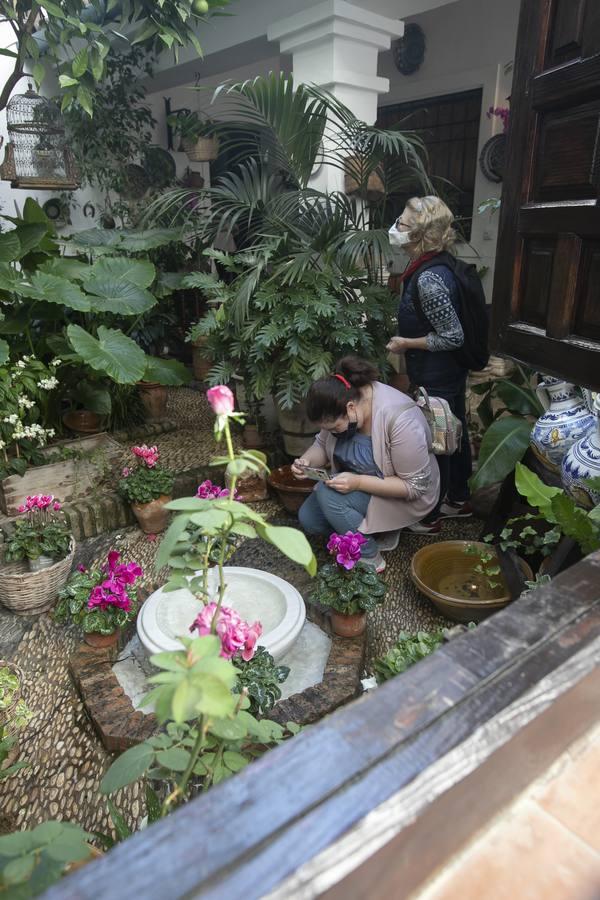 Los patios de Santa Marina de Córdoba, en imágenes