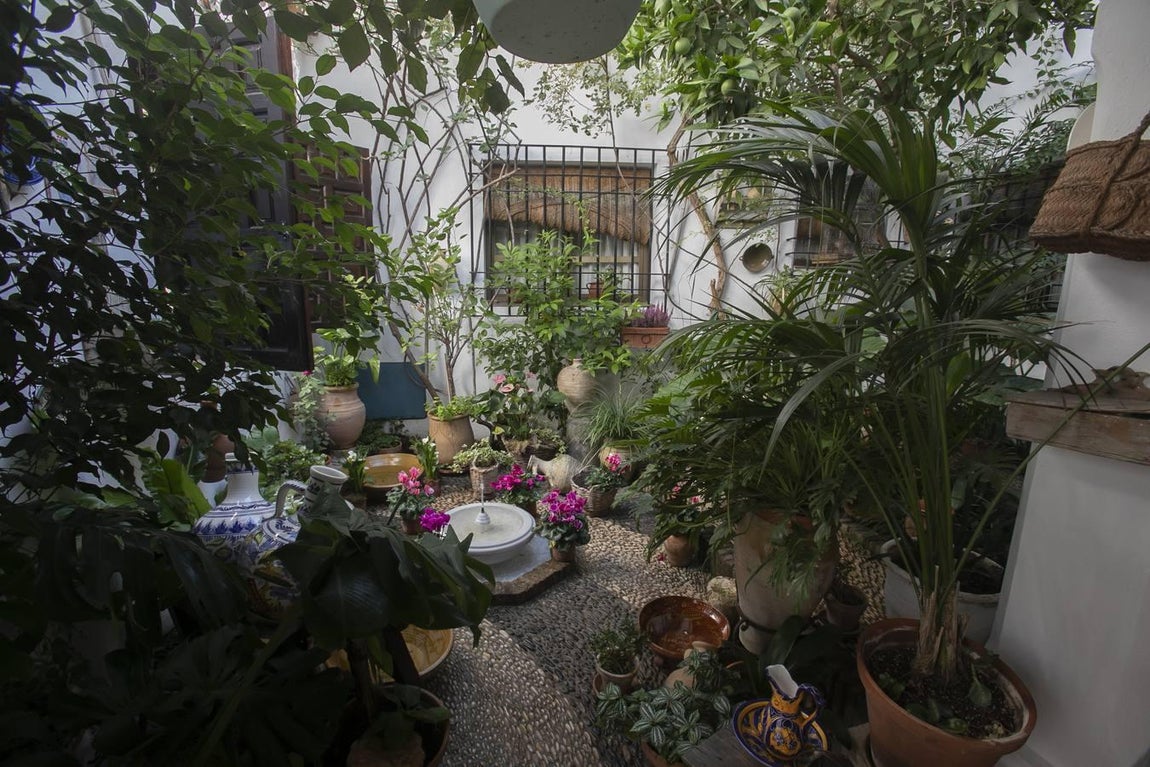 Los patios de Santa Marina de Córdoba, en imágenes