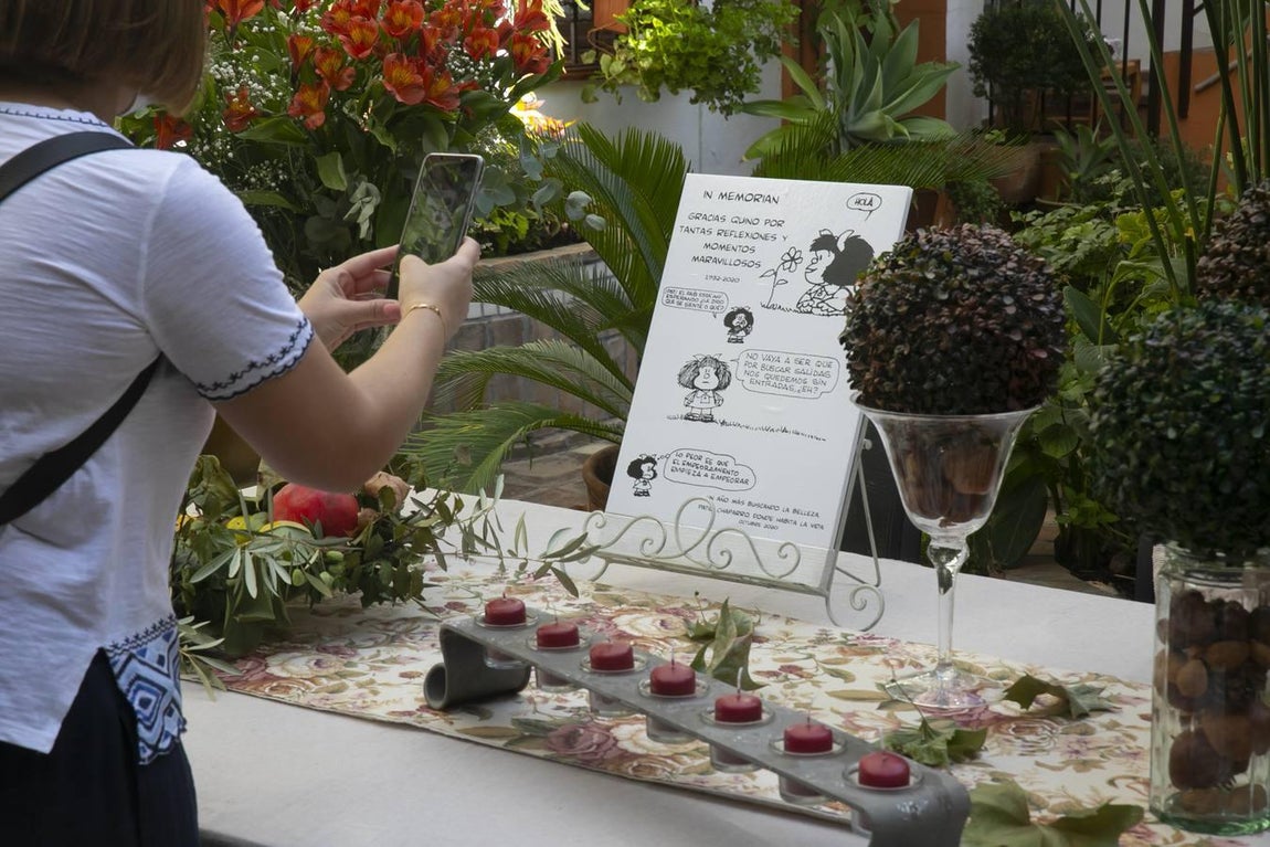Los patios de Santa Marina de Córdoba, en imágenes