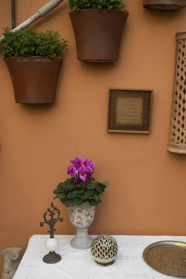 Los patios de Santa Marina de Córdoba, en imágenes