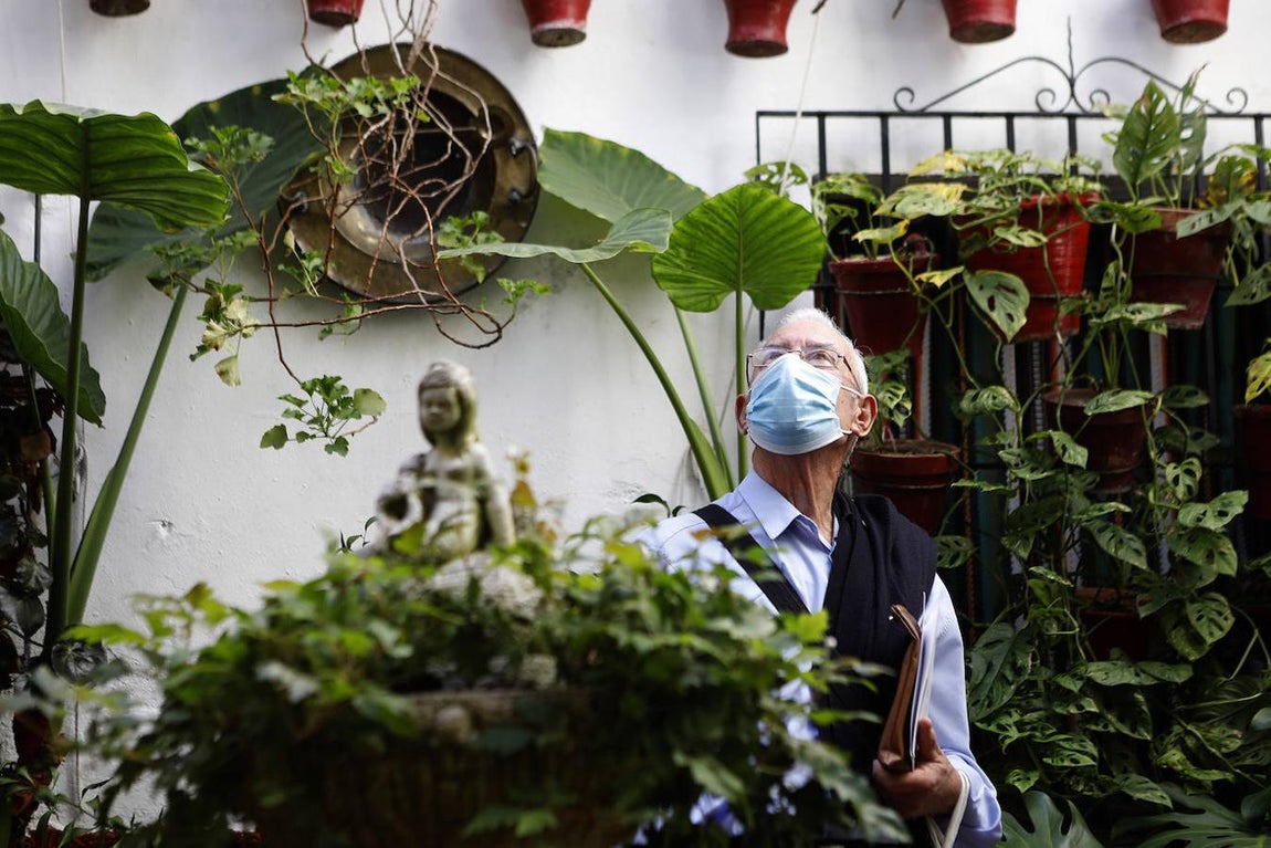 Los Patios de la Judería y San Francisco de Córdoba, en imágenes