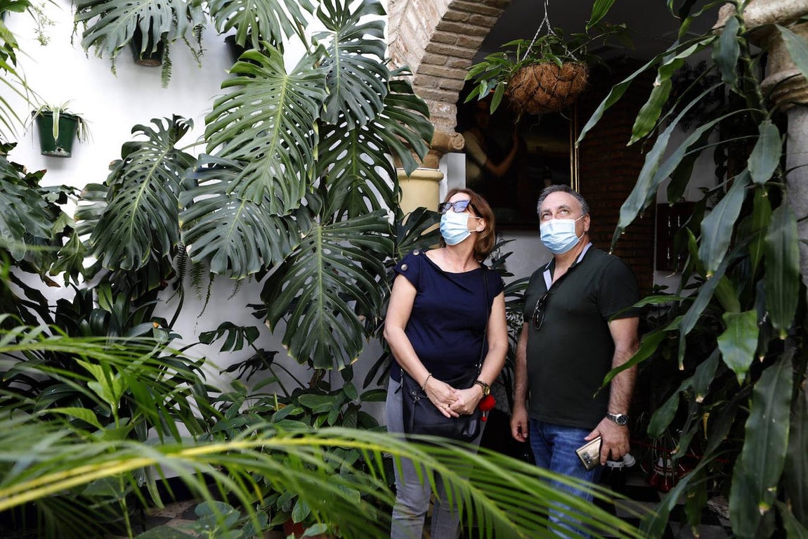 Los Patios de la Judería y San Francisco de Córdoba, en imágenes