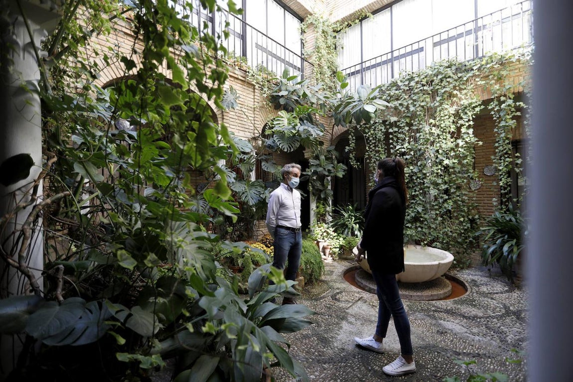 Los Patios de la Judería y San Francisco de Córdoba, en imágenes