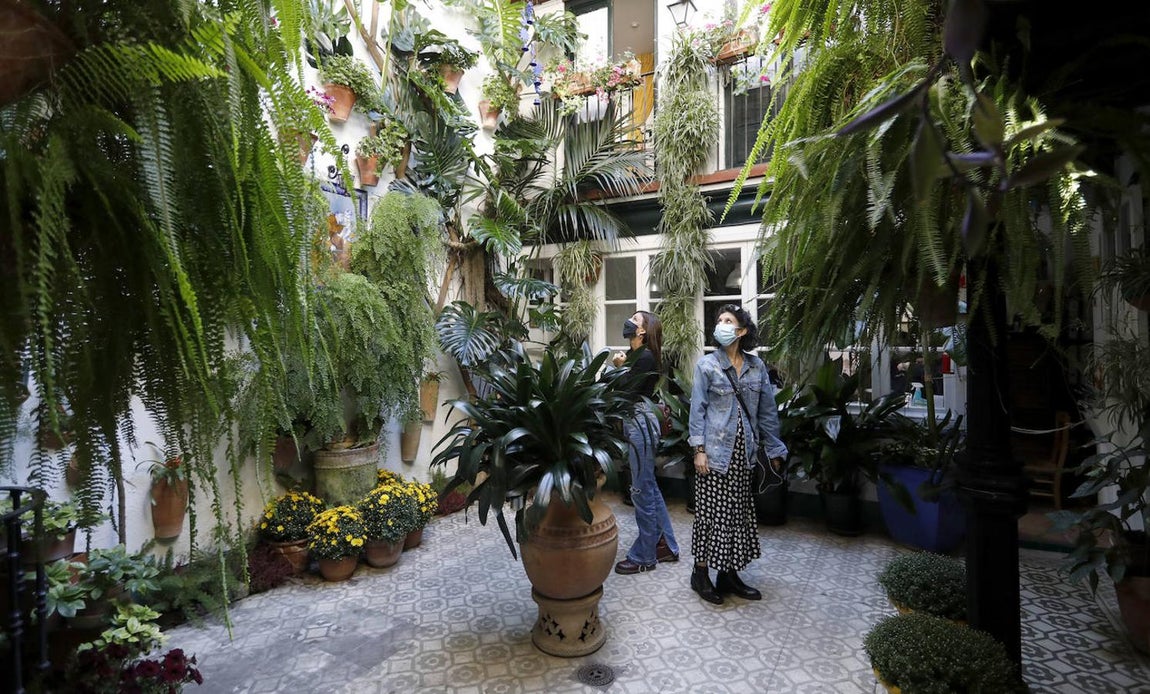 Los Patios de la Judería y San Francisco de Córdoba, en imágenes