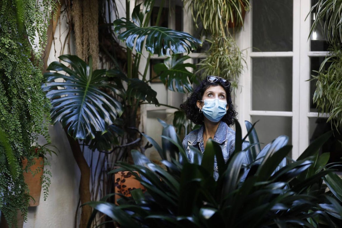 Los Patios de la Judería y San Francisco de Córdoba, en imágenes