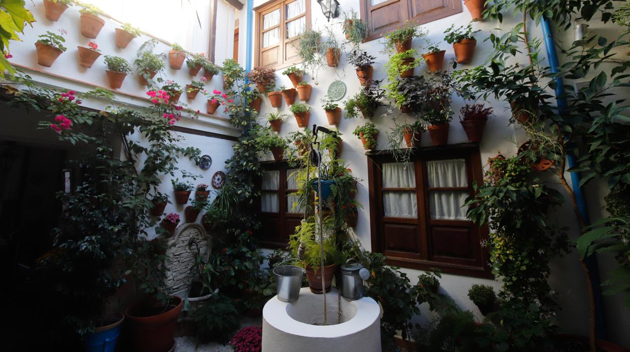 Patios de Córdoba 2020 | La ruta de Regina y el Realejo, en imágenes