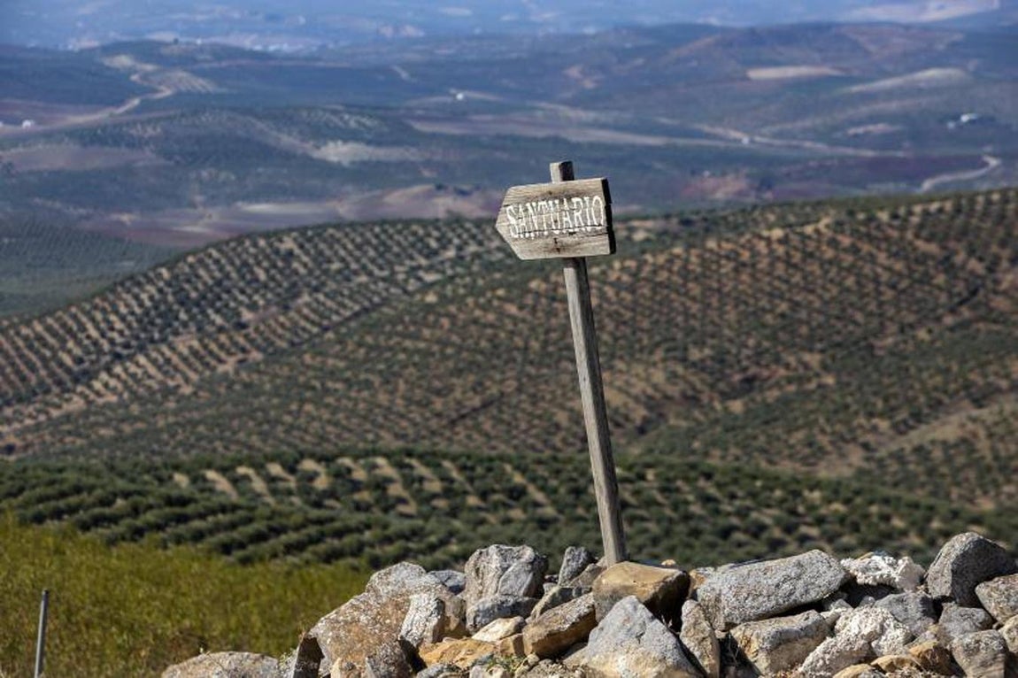 El yacimiento arqueológico de Torreparedones de Baena, en imágenes