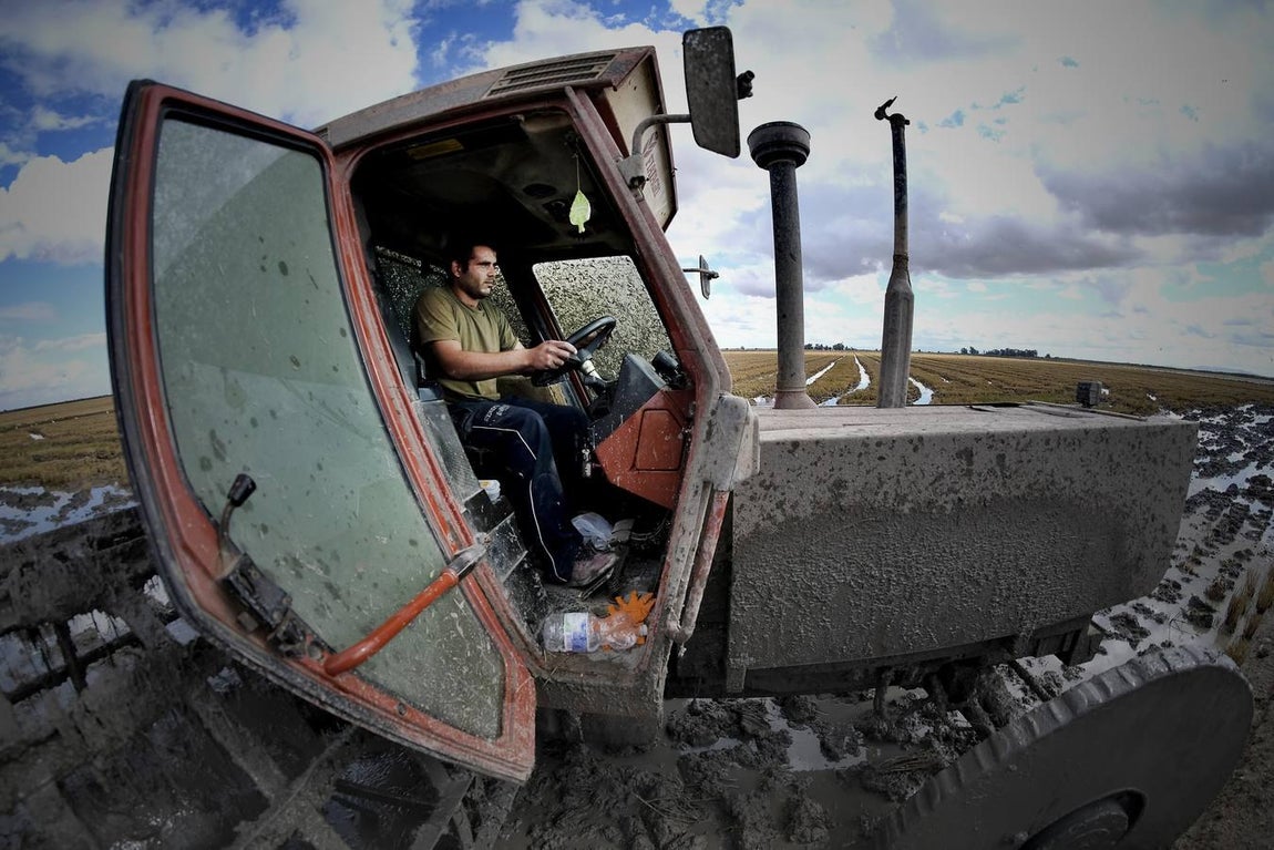 El fangueo deja impresionantes imágenes en Isla Mayor