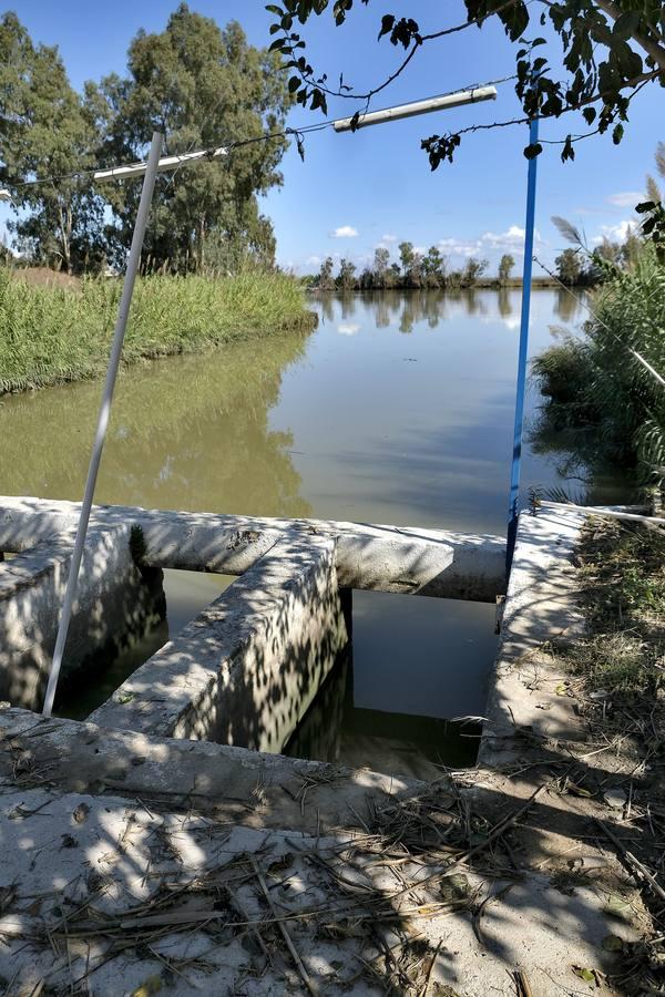El fangueo deja impresionantes imágenes en Isla Mayor