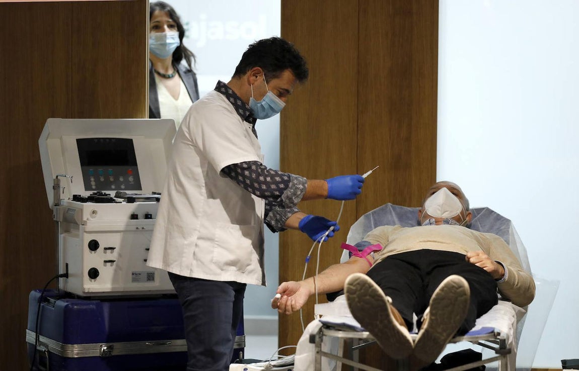 La donación de sangre en la Fundación Cajasol en Córdoba, en imágenes