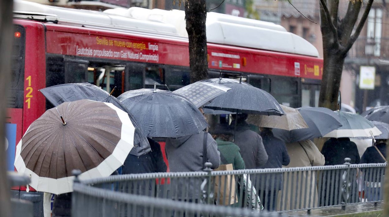 Filomena se deja sentir en Sevilla