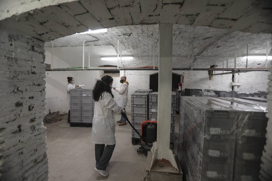 Las obras en el Arqueológico han sacado a luz piezas ocultas